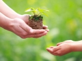 Hạnh phúc là khi mang lại hạnh phúc cho người khác. Đừng ích kỷ, mà hãy quan tâm tới người khác, bạn cũng sẽ nhận được sự quan tâm từ họ